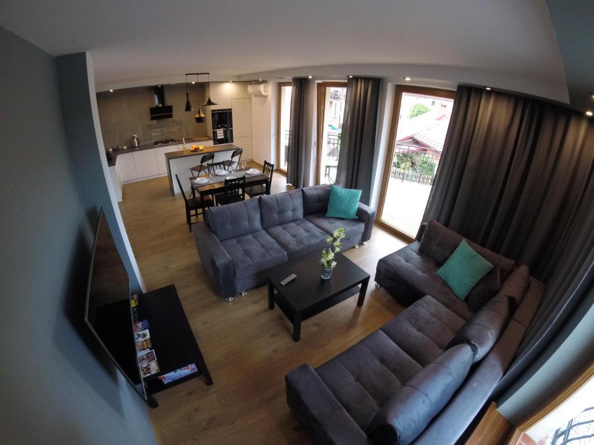 Apartamenty Pod Jesionem ザトル エクステリア 写真